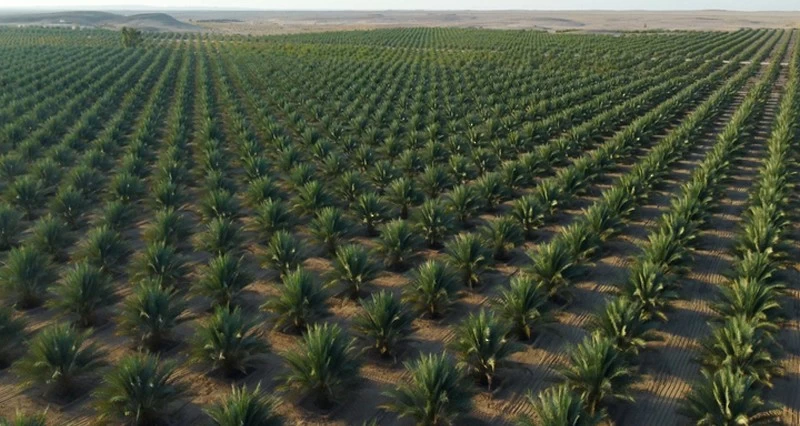 1.9 مليار ريال عُماني إجمالي الاستثمارات المنفذة بقطاعات الأمن الغذائي خلال الخطة الخمسية العاشرة