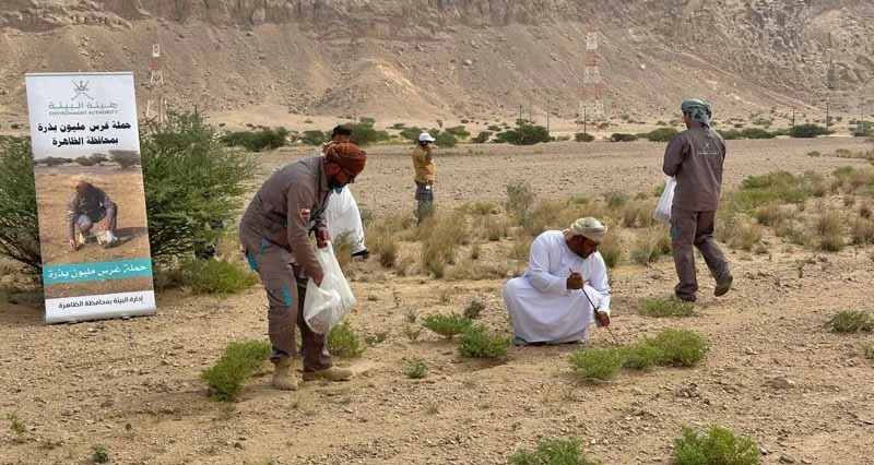 غرس مليون بذرة من الأشجار البرية فـي الظاهرة