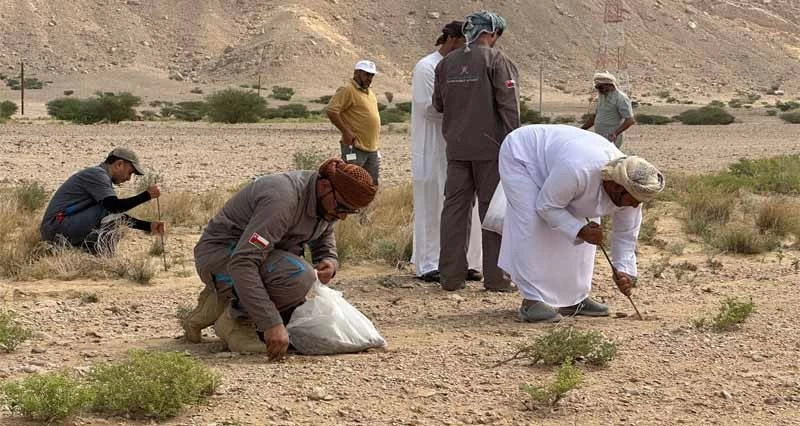 غرس مليون بذرة من الأشجار البرية فـي الظاهرة