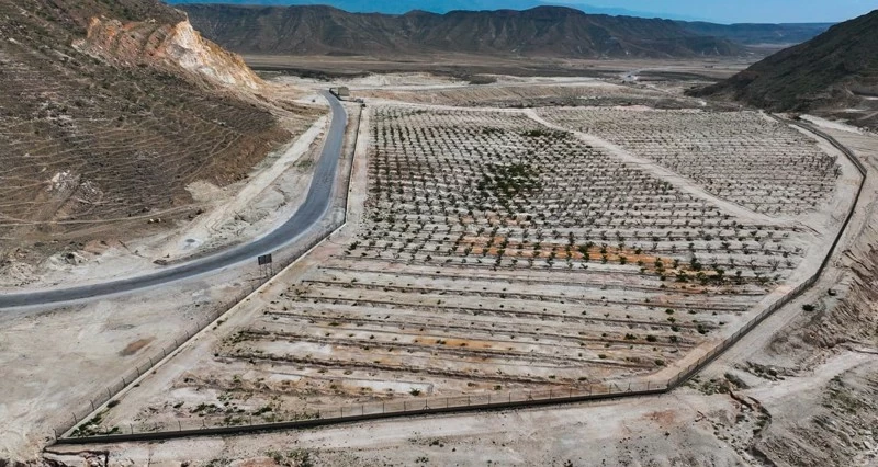 حدائق ومتنزهات شجرية للحفاظ على الأنماط النباتية فـي ظفار