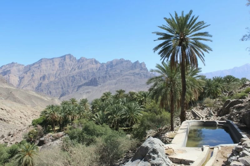 وادي بني حراص.. وجهة سياحية وملاذ طبيعي يستهوي السياح