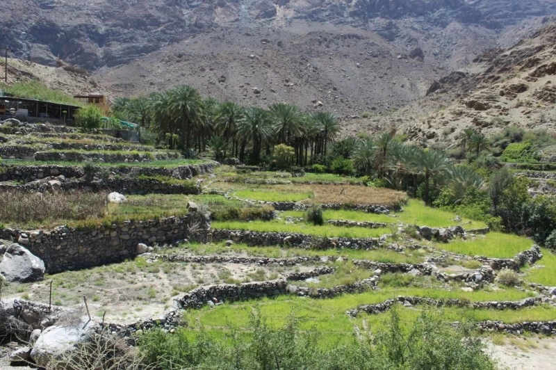 وادي بني حراص.. وجهة سياحية وملاذ طبيعي يستهوي السياح