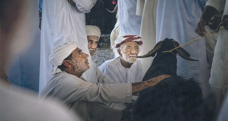 عرصة المواشي والأغنام فـي عبري