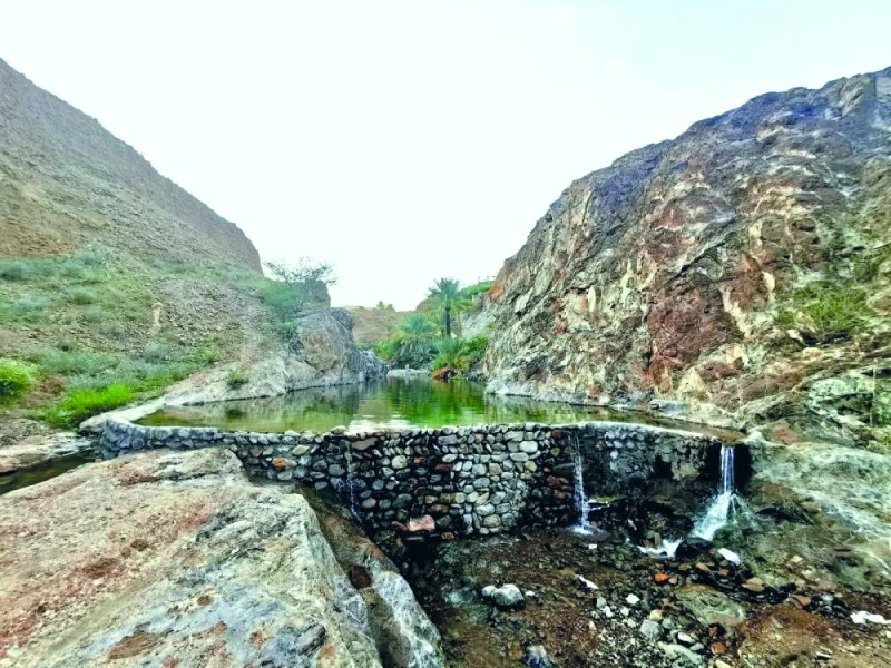 قرية 'الخد' .. وجهة سياحية لزوار شمال الباطنة خلال فصل الصيف