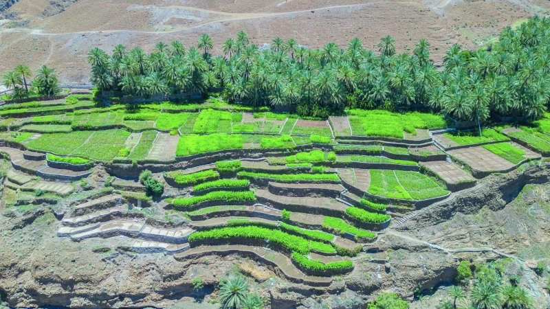 قرية 'الخد' .. وجهة سياحية لزوار شمال الباطنة خلال فصل الصيف