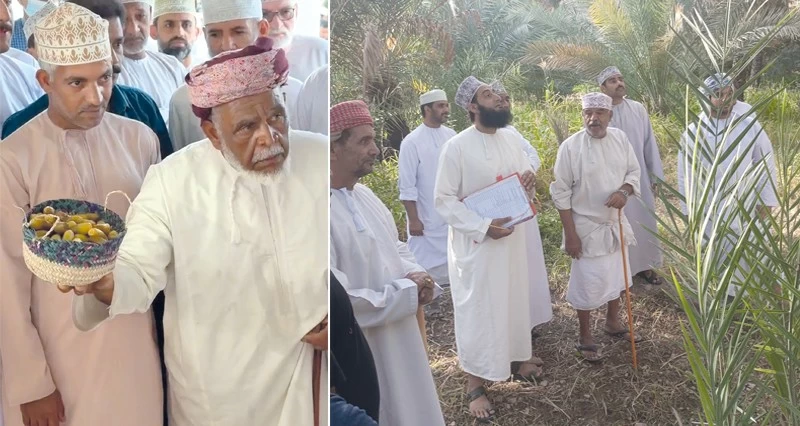 13 ريال سعر كيلو رطب النغال فـي &laquo;مسلمات&raquo;.. و33 ريال الطناء فـي &laquo;بوة&raquo;