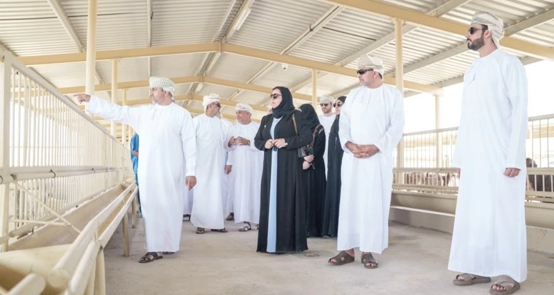الاطلاع على سير الأعمال فـي مشاريع الأمن الغذائي بالظاهرة