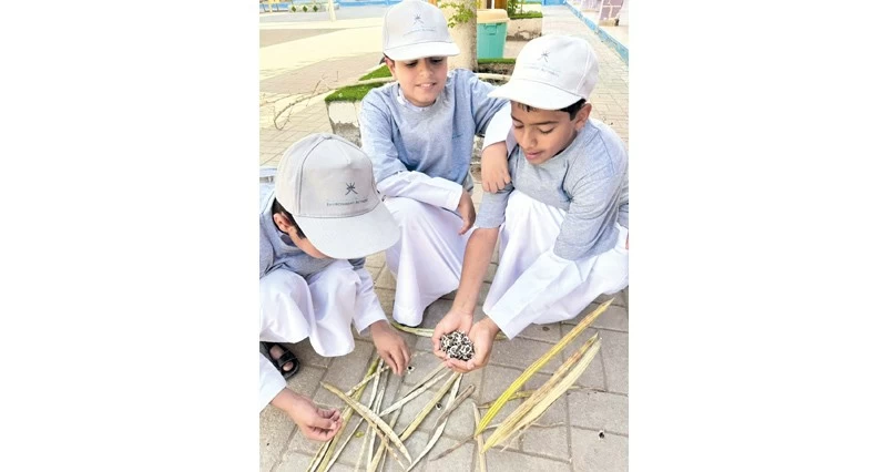 جمع بذور الأشجار البرية فـي الظاهرة