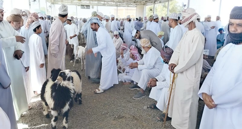 هبطات العيد تشهد حركة نشطة وتفاوتا فـي أسعار المواشي
