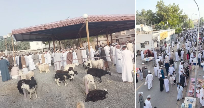 هبطات العيد تشهد حركة نشطة وتفاوتا فـي أسعار المواشي