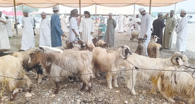 هبطات العيد تشهد حركة نشطة وتفاوتا فـي أسعار المواشي