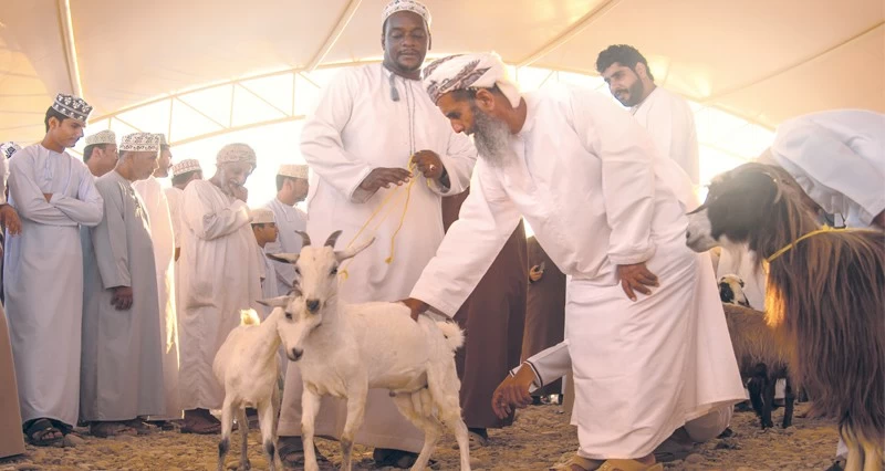 المصور موسى الحجري يوثق عادات وتقاليد عمانية
