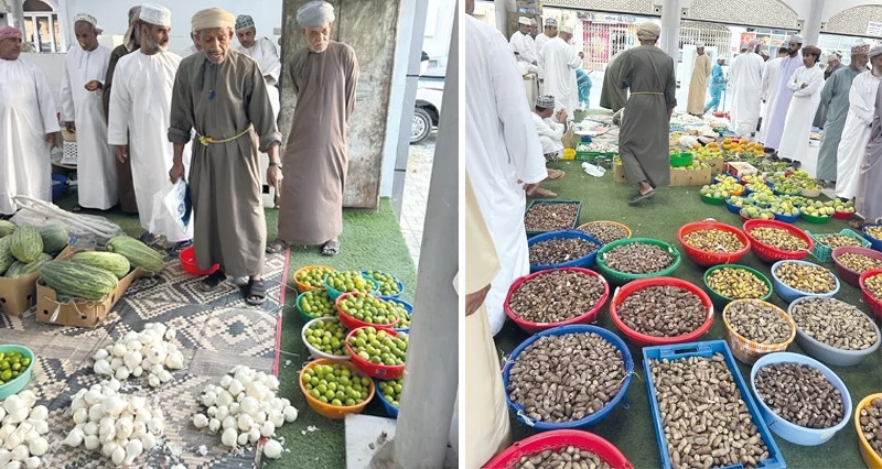 تنوع المحاصيل فـي سوق نخل .. وانخفاض بأسعار الرطب