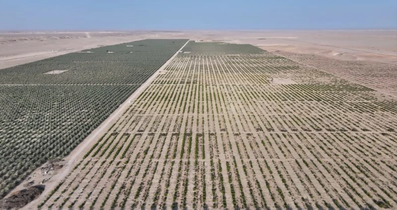 طرح ٣٥٧ فرصة انتفاع استثماري عبر منصة تطوير خلال الأشهر الأربعة الأولى من العام الجاري