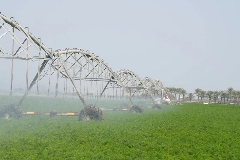 طرح ٣٥٧ فرصة انتفاع استثماري عبر منصة تطوير خلال الأشهر الأربعة الأولى من العام الجاري