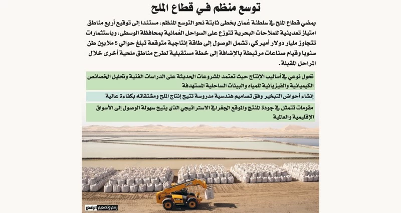 مشروعات صناعية متخصصة قائمة على الملح .. وقابلية للتسويق بالخارج