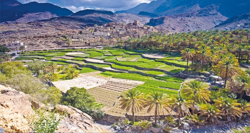 المقومات التاريخية والطبيعية تعزز مكانة جنوب الباطنة كوجهة سياحية