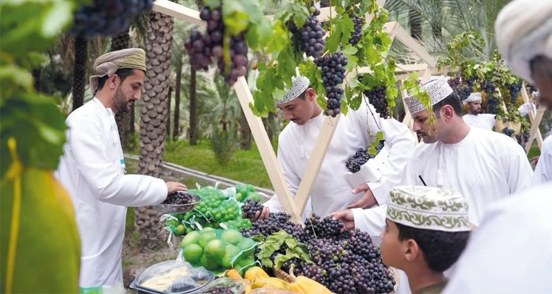 ختام مهرجان العنب فـي العوابي