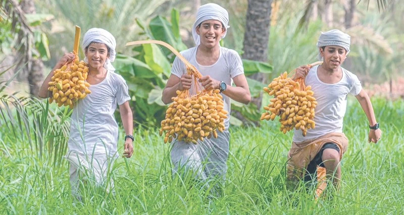 صور ضوئية تبرز حصاد &laquo;موسم القيظ&raquo;