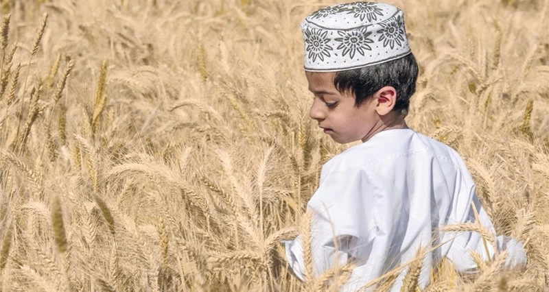 صور ضوئية تبرز حصاد &laquo;موسم القيظ&raquo;