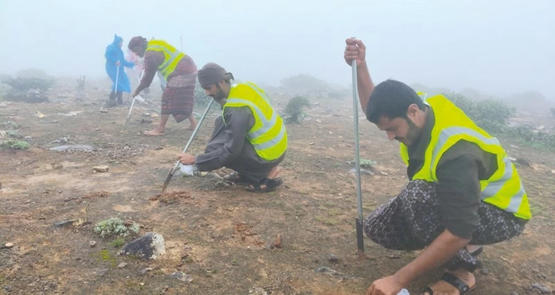غرس 4 ملايين بذرة من الأشجار المحلية فـي ظفار