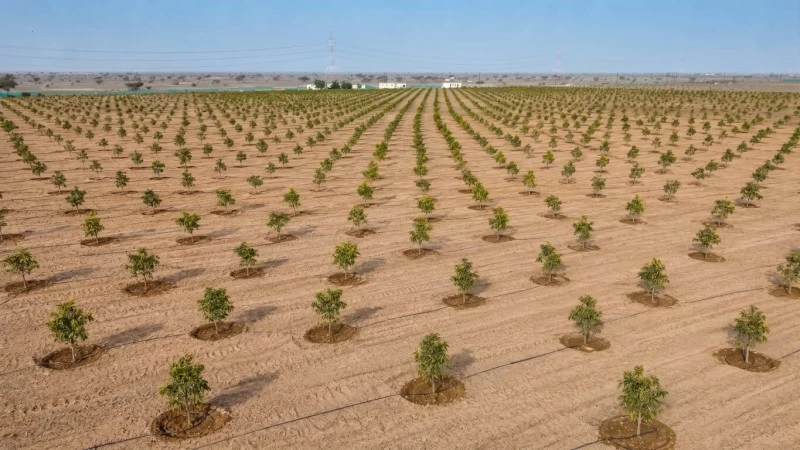 استثمارات بأكثر من 51 مليون ريال عُماني لتعزيز الأمن الغذائي وتنمية الموارد المحلية بجنوب الباطنة