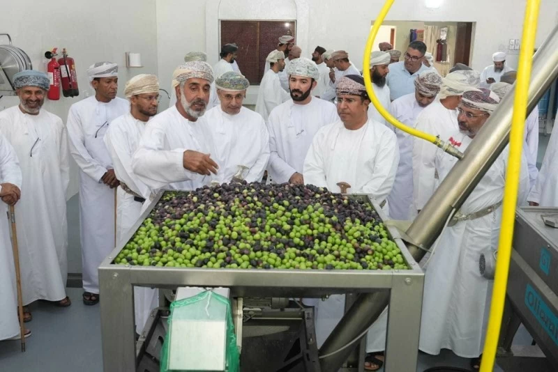 بتكلفة بلغت نحو 40 ألف ريال عُماني ..افتتاح معصرة حديثة لزيت الزيتون بولاية الجبل الأخضر