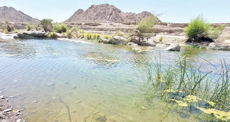 مقنيات .. طبيعة زاخرة بالواحات فـي عبري