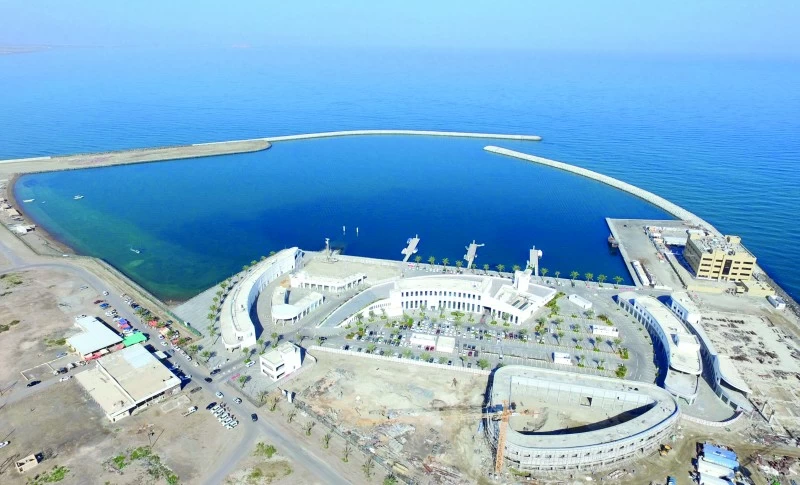 320.8 مليون ريال عُماني .. قيمة الأسماك في سلطنة عمان بنهاية يونيو 2026م
