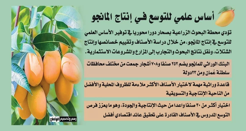 فرص استثمارية فـي إنتاج المانجو