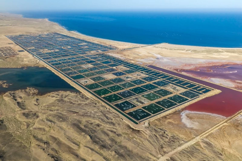 مشروعات تّنمويّة وخدميّة بجعلان بني بوعلي وجعلان بني بو حسن والكامل والوافي