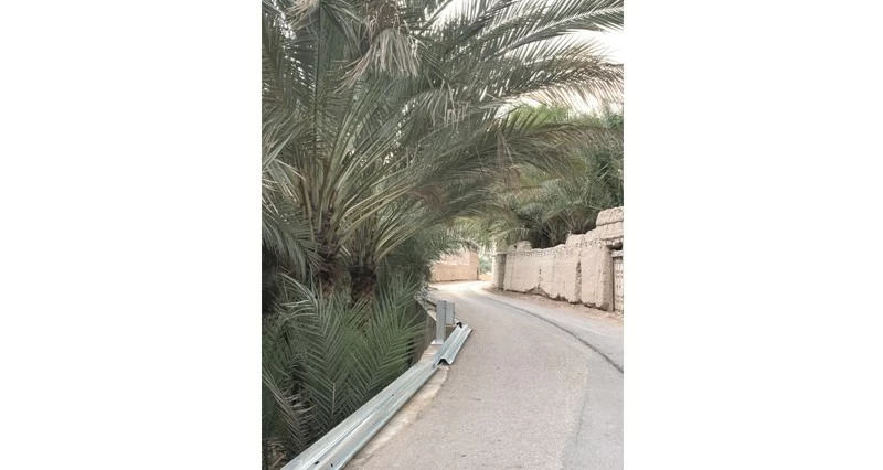بدء تنفيذ مشروع تركيب حاجز الحماية فـي &laquo;الغافات&raquo;