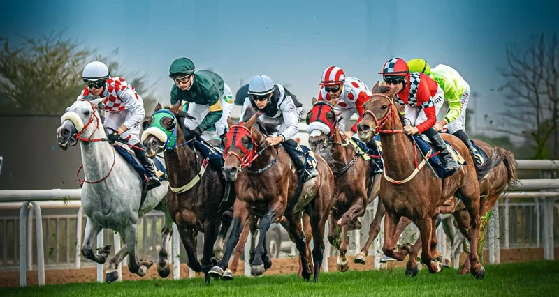 عدسة رقية الزعابية تجمع بين عشق الخيل وفن الصورة