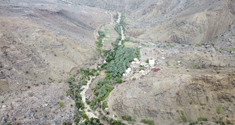 حقول زراعية غناء فـي &laquo;الفيق&raquo;