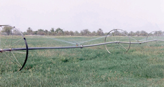 (الزراعة والثروة السمكية) تسعى لتشجيع تبني التقنيات الحديثة في زراعة المحاصيل التي تمثل ميزة نسبية