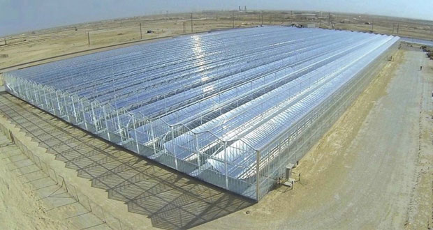 إرنست آند يونج: استخراج النفط المعزز باستخدام الطاقة الشمسية سيوفر فرص عمل تصل إلى 212 ألفا وظيفة في السلطنة 