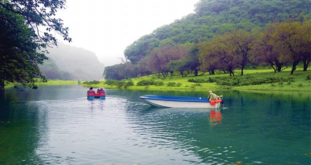 مع بدء الخريف.. ظفار تزدان روعة وجمالا