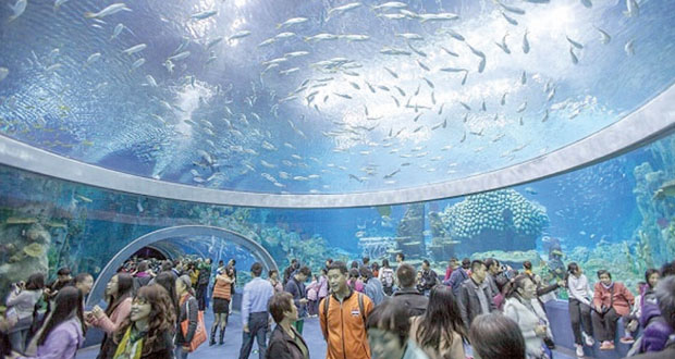 الصين تفتتح أكبر متحف مائي في العالم 