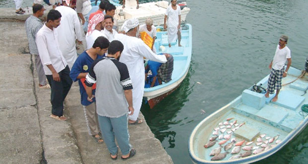 دوائر التنمية الزراعية والسمكية ودور كبير في خدمة المزارعين والصيادين 