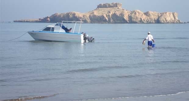 السوادي.. رحلة إلى الجزر السبع ومتعة مشاهدة الطيور المهاجرة