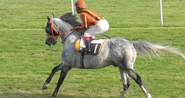 الحصان رداد ينتزع المركز الأول في سباق الخيول العربية بمدينة داكس الفرنسية
