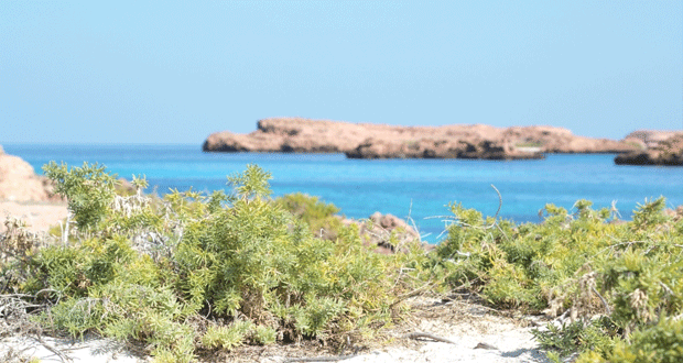 جزر الديمانيات .. متحف طبيعي ومقصد سياحي في بحر عمان