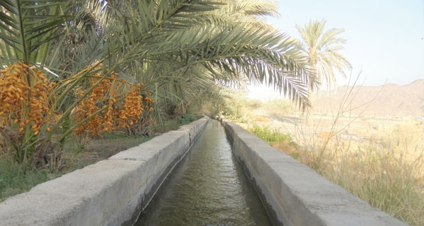 البلديات الإقليمية وموارد المياه تواصل العمل على تأمين مصادر المياه الصالحة للشرب