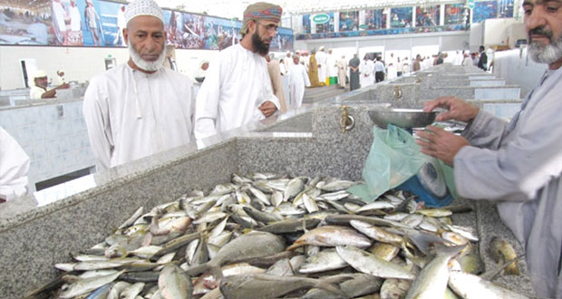 1.9% ارتفاعا في إجمالي كمية الأسماك المنزلة في السلطنة حتى نهاية 2014