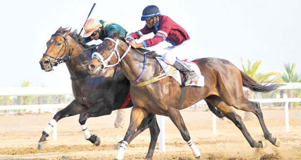 مضمار الرحبة يشهد سباق الخيل الختامي للموسم اليوم استعراضات في رياضات الفروسية تتخلل أشواط السباق