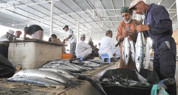 أكثر من 59 ألف طن أسماك منزلة بالسلطنة خلال الربع الأول من العام