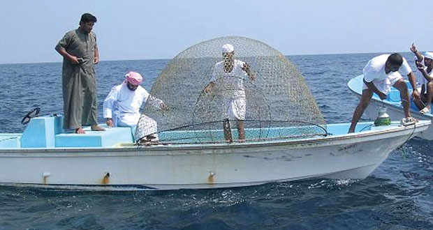 القطاع السمكي في مسندم .. أهمية اقتصادية متجددة واستثمارات متعددة