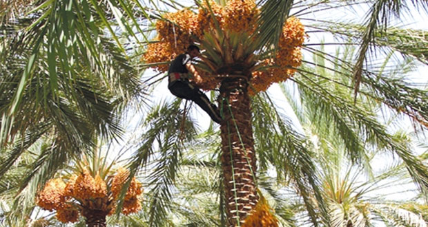 "الوطن الاقتصادي" يفتح ملف الخطة الخمسية التاسعة " 4 " 