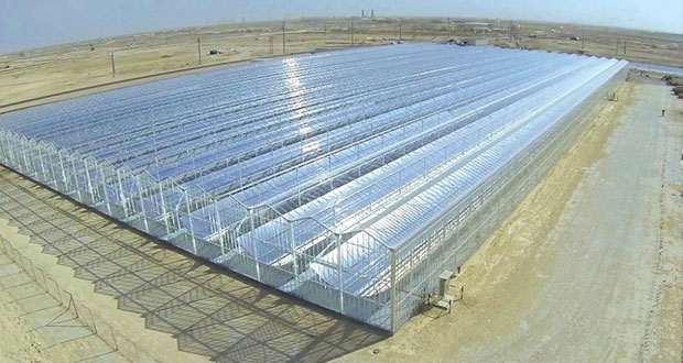 دراسة تستعرض استخدامات الطاقة المتجددة في السلطنة بين النظرية والتطبيق