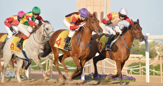 اليوم... انطلاق أول سباقات الخيل الأهلية بمضمار مزرعة الرحبة